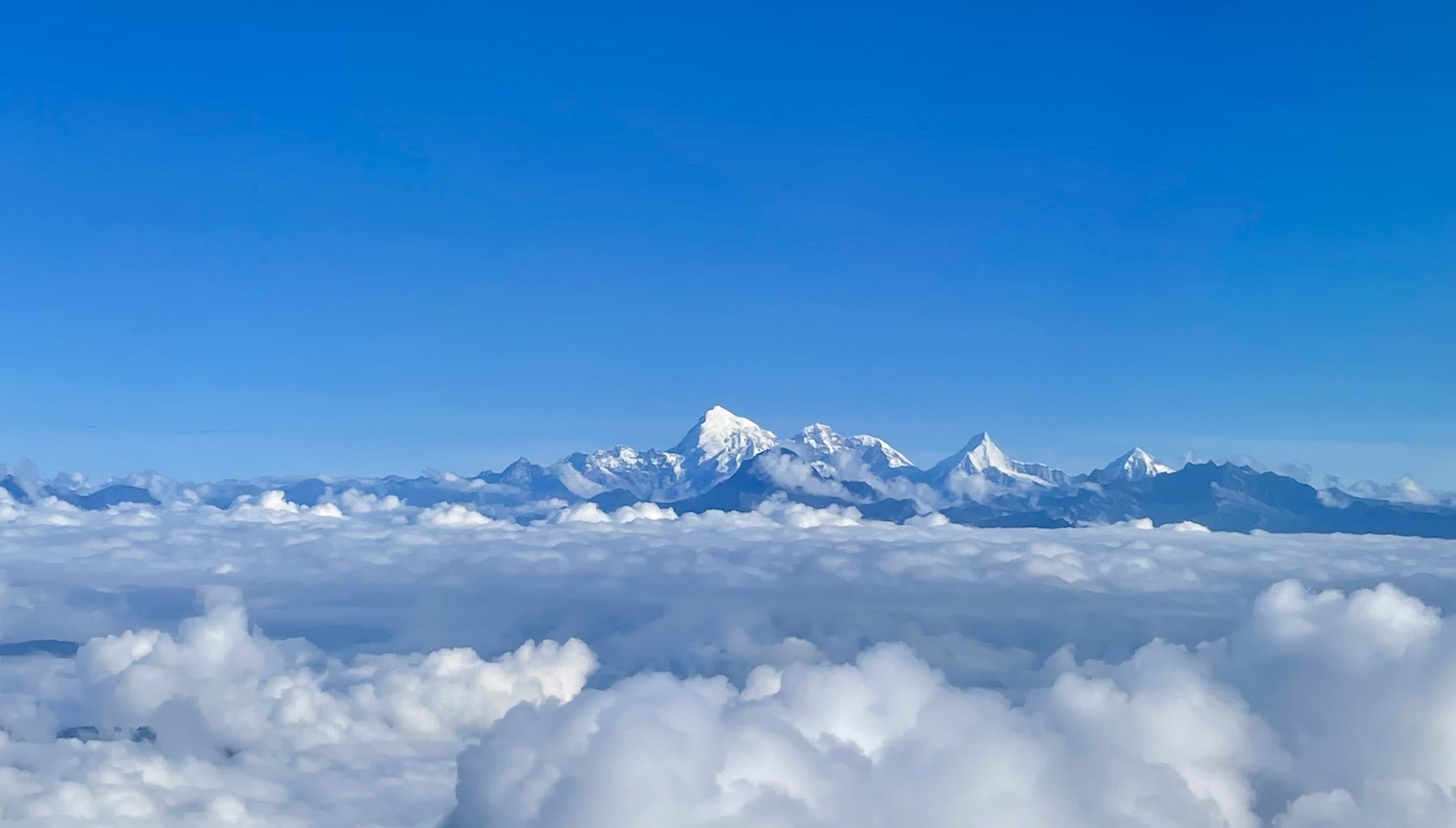 Follow our journey: month one