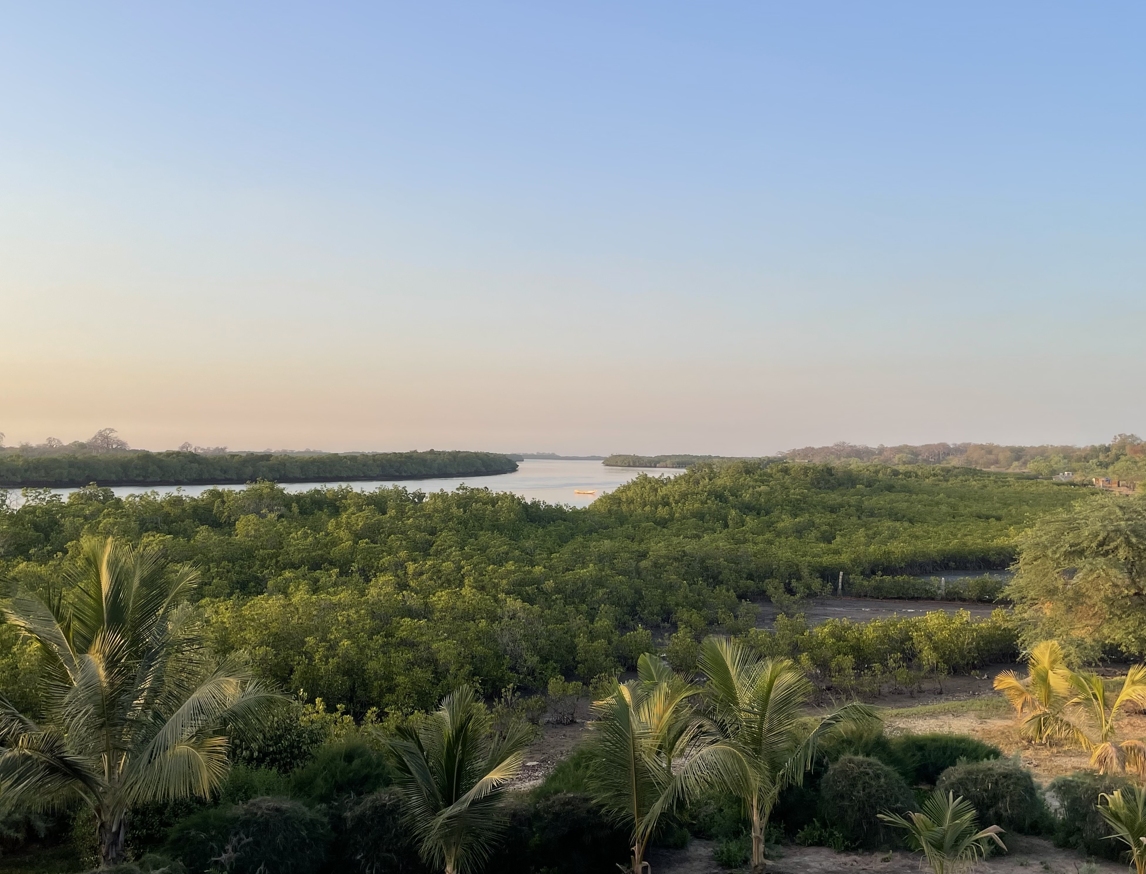 Saloum Delta, Senegal