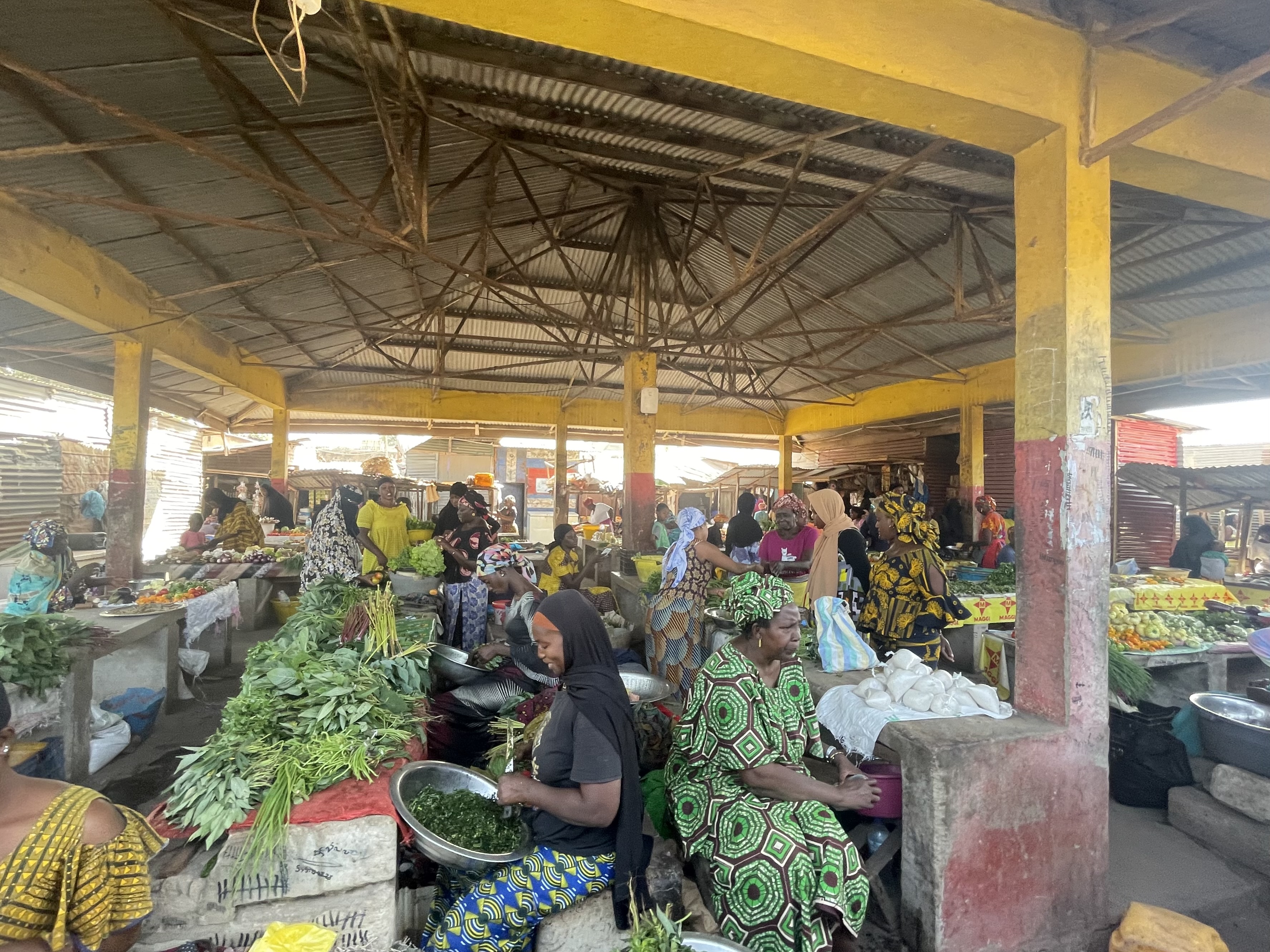 A week in West Africa: part one – The Gambia