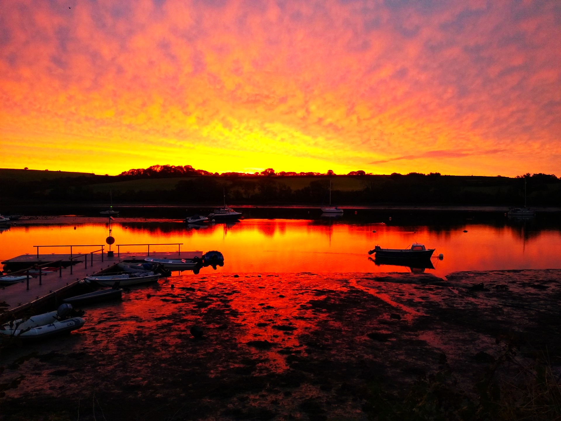 Nature’s symphony stirs the soul in Aberteifi, West Wales