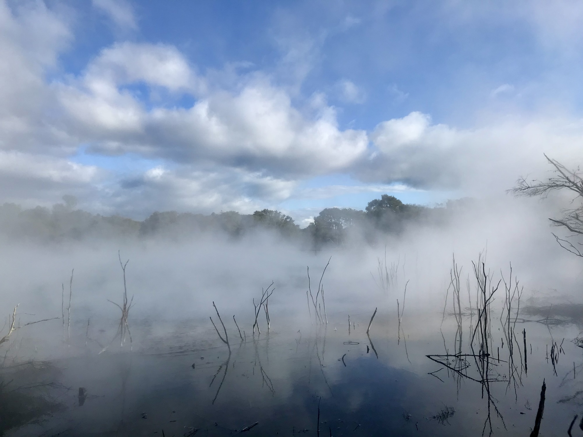 New Zealand, land of natural contrasts: part one – North Island